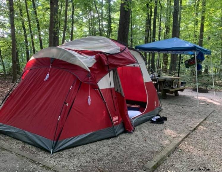 Camping Twin Knobs – un havre de nature au bord du lac Cave Run