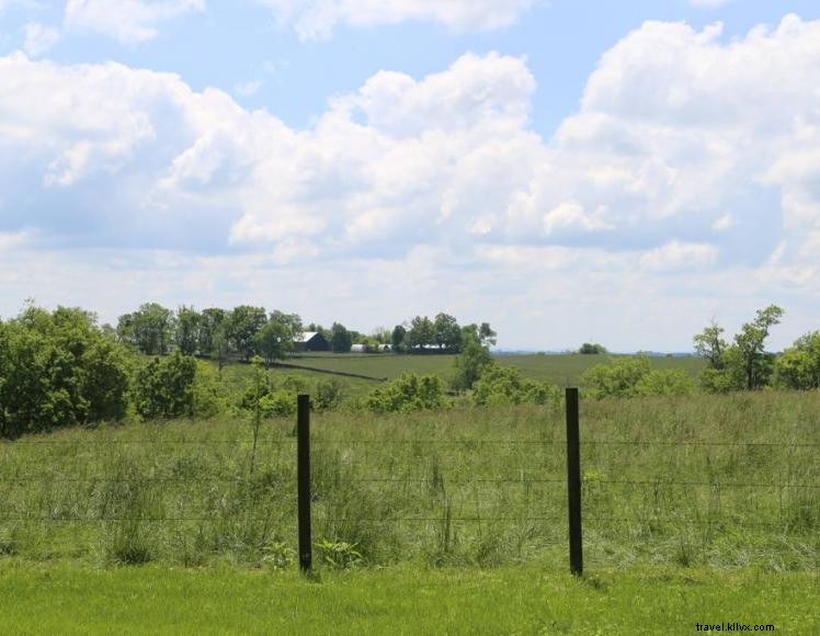 The Peach House : escapade dans les vignobles du Kentucky