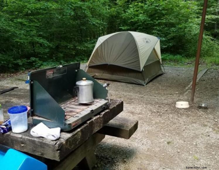 Camping Turkeyfoot – Une oasis paisible au bord de War Fork Creek