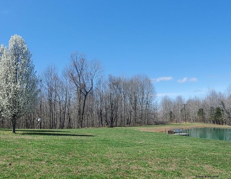 Lodge avec vue sur la vallée