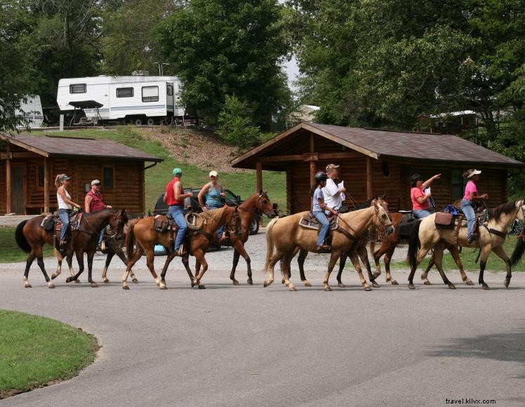 Camping Équestre Wranglers