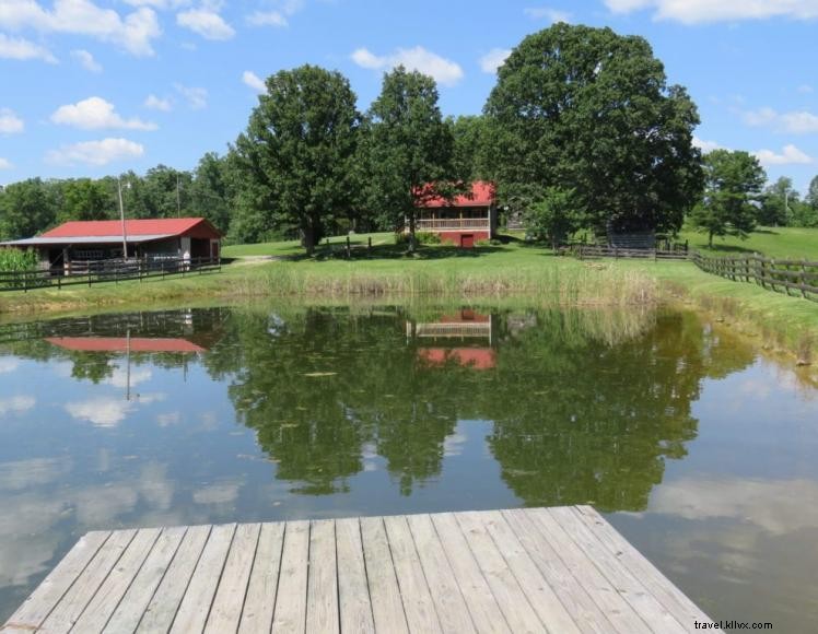 Cabane Bluegill – Cabanes Wildcat
