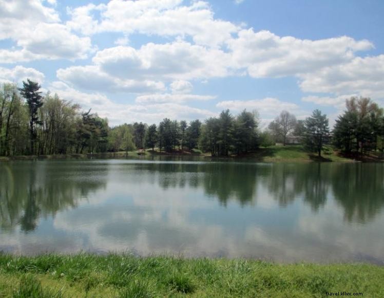 Camping Windy Hollow – Destination familiale en plein air
