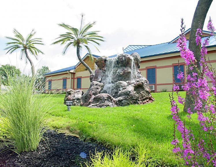 Wildwood Inn – Dômes tropicaux et suites à thème