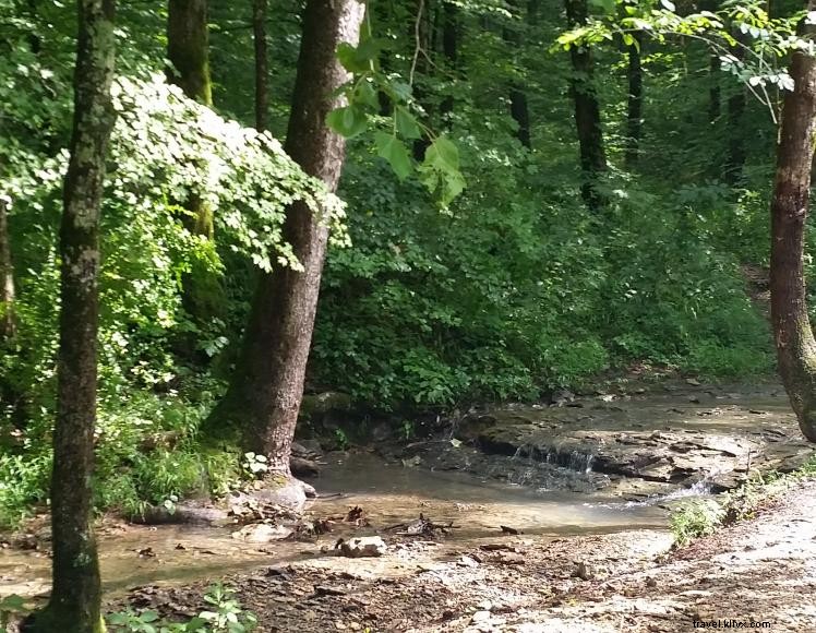 Aire de loisirs du ruisseau Wilson