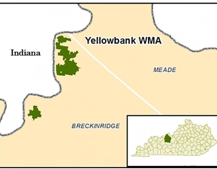 Zone de gestion de la faune de Yellowbank