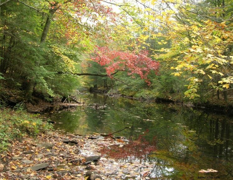 Camping du ruisseau Beaver