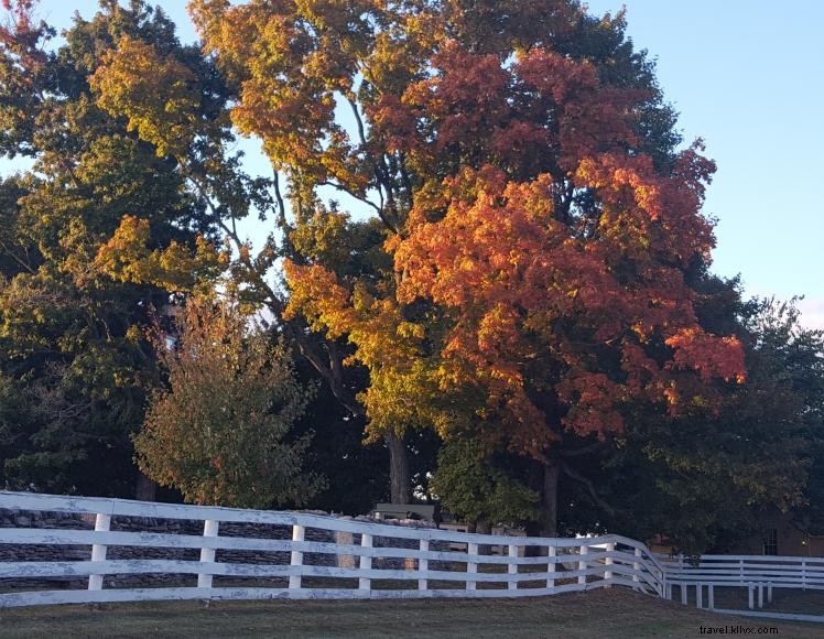 Baymont Inn & Suites (London, KY)