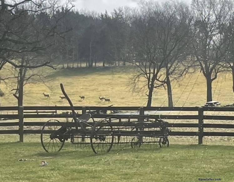 Cabane à la Ferme – Location Airbnb