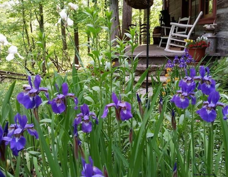 Cabine du Capitaine – Bed & Breakfast unique à Louisville
