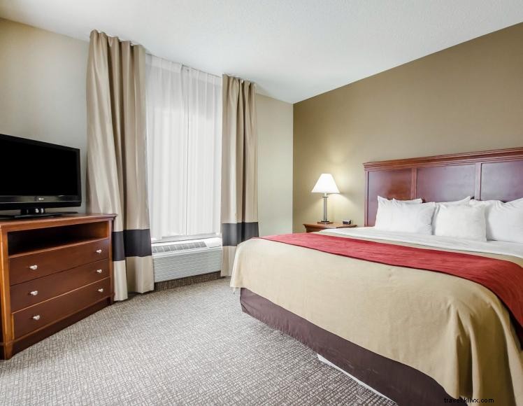 Comfort Inn Sud-Ouest
