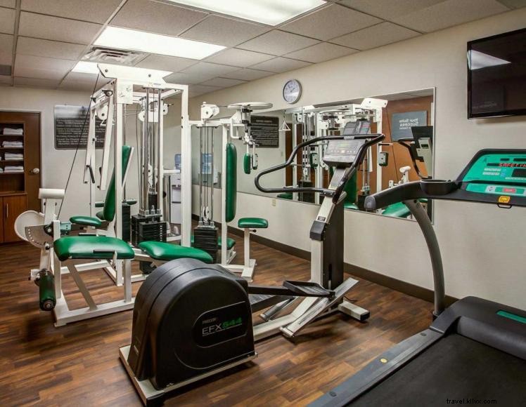 Suites Confort – Georgetown