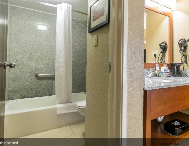 Comfort Inn & Suites (Lexington)