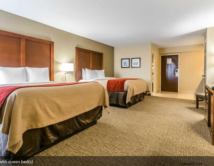 Comfort Inn & Suites (Lexington)