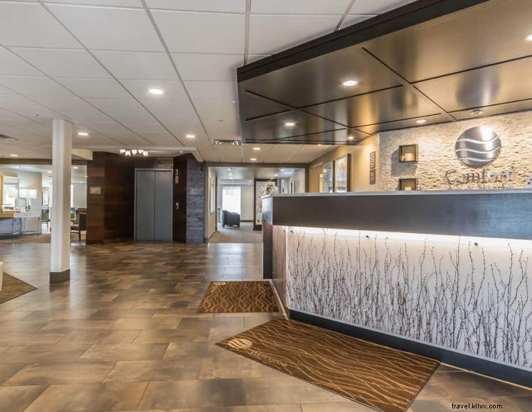 Comfort Inn & Suites (Lexington)
