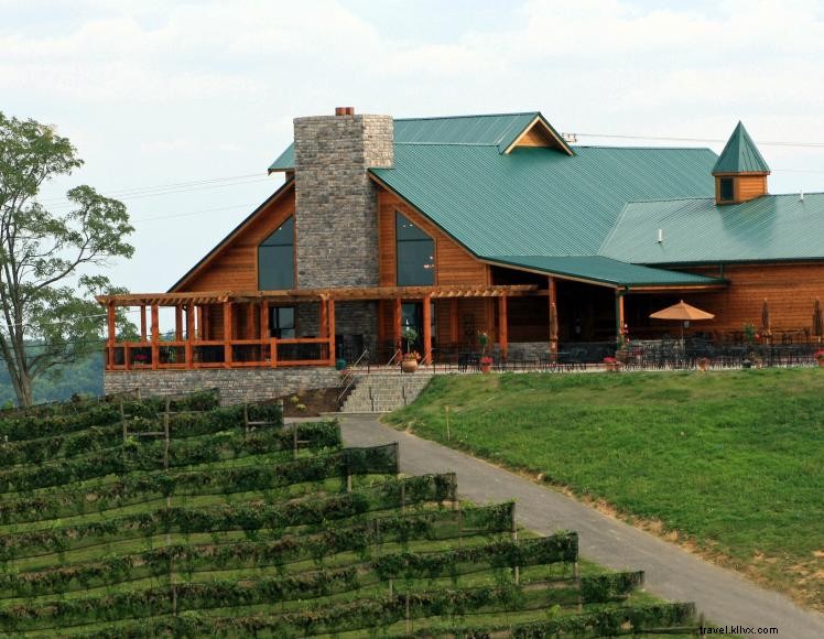 Vignobles Elk Creek