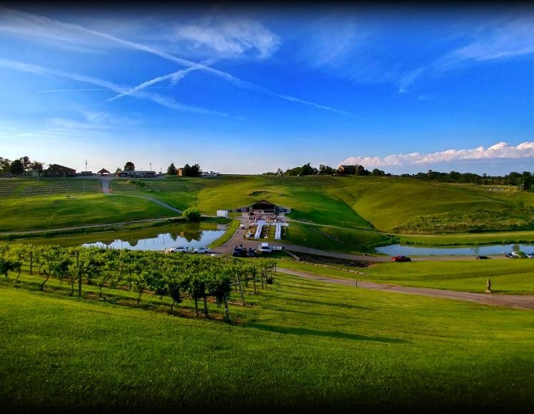 Vignobles Elk Creek