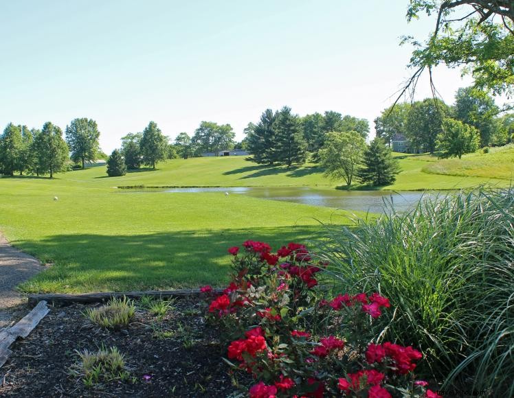 Parcours de golf Fairway et cottages