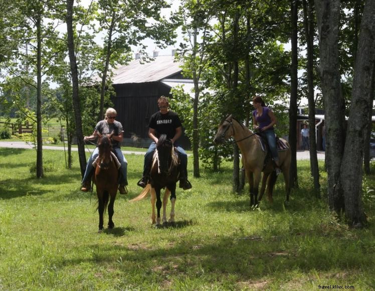 Écuries de Green River – Premier Camping Équestre et Parc de VR