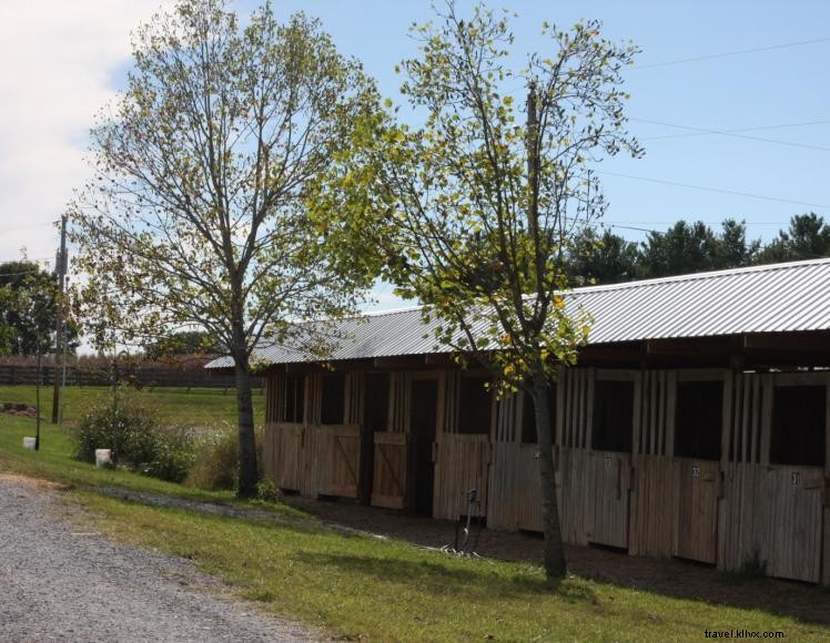 Écuries de Green River – Premier Camping Équestre et Parc de VR