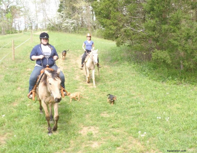Hidden Cave Ranch – Bed & Breakfast et ferme de chevaux Bashkir Curly