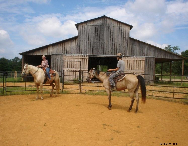 Hidden Cave Ranch – Bed & Breakfast et ferme de chevaux Bashkir Curly