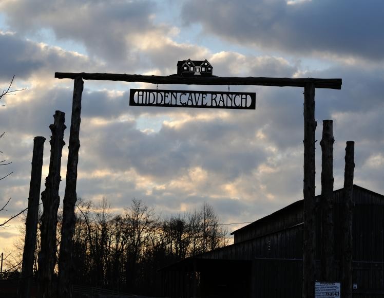 Hidden Cave Ranch – Bed & Breakfast et ferme de chevaux Bashkir Curly