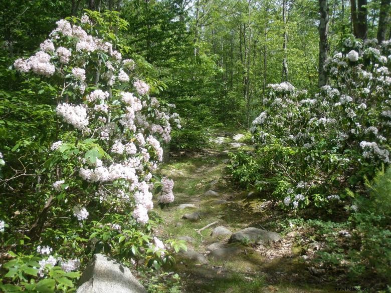Voyage dans les montagnes du nord‑est de la Géorgie