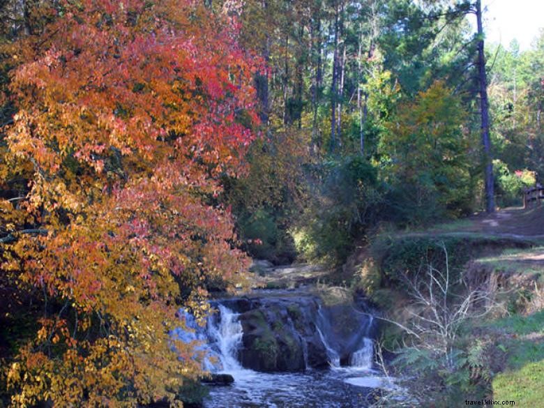 Centre d accueil des visiteurs de Savannah Rapids – Votre porte d’entrée aux aventures en plein air du comté de Columbia
