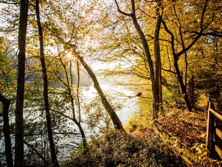 Island Ford – Aire de loisirs nationale de la rivière Chattahoochee