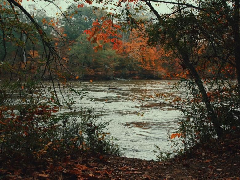 Island Ford – Aire de loisirs nationale de la rivière Chattahoochee