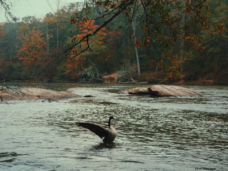 Island Ford – Aire de loisirs nationale de la rivière Chattahoochee
