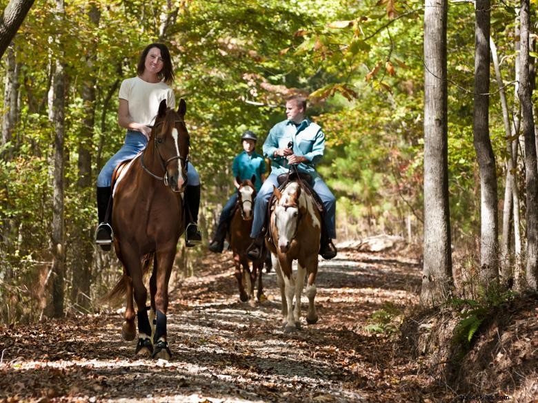 Voyages et tourisme dans le comté de Douglas, Géorgie