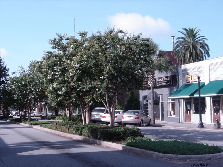 Le quartier historique du centre-ville de Brunswick