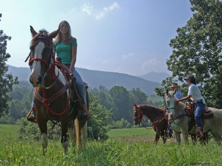 Resort & Spa Brasstown Valley