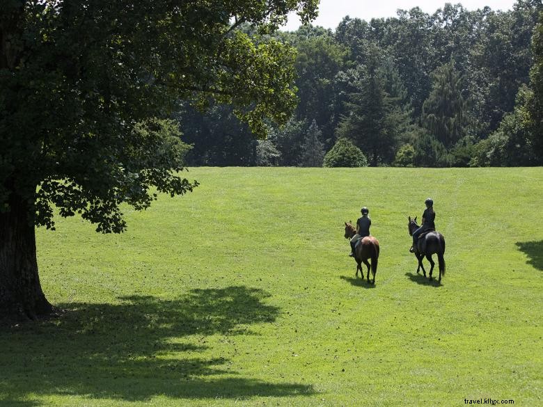 Barnsley Resort, escapade de luxe en Géorgie du Nord