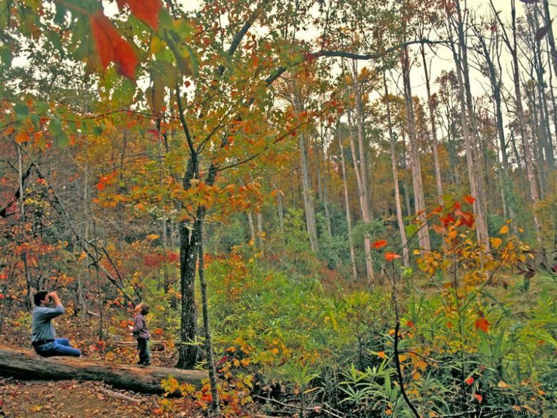 Parc d État Roosevelt (FDR)