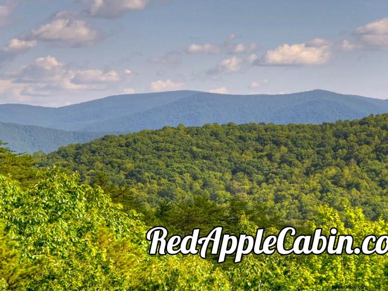Location de vacances – Cabane Pomme Rouge