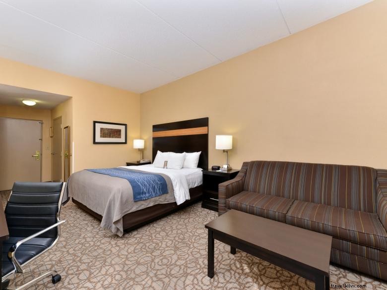 Comfort Inn & Suites à Stone Mountain