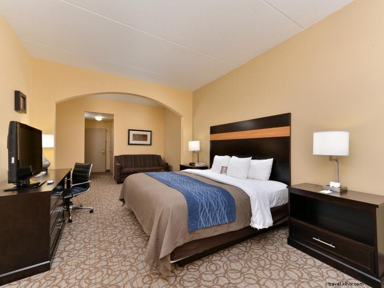 Comfort Inn & Suites à Stone Mountain