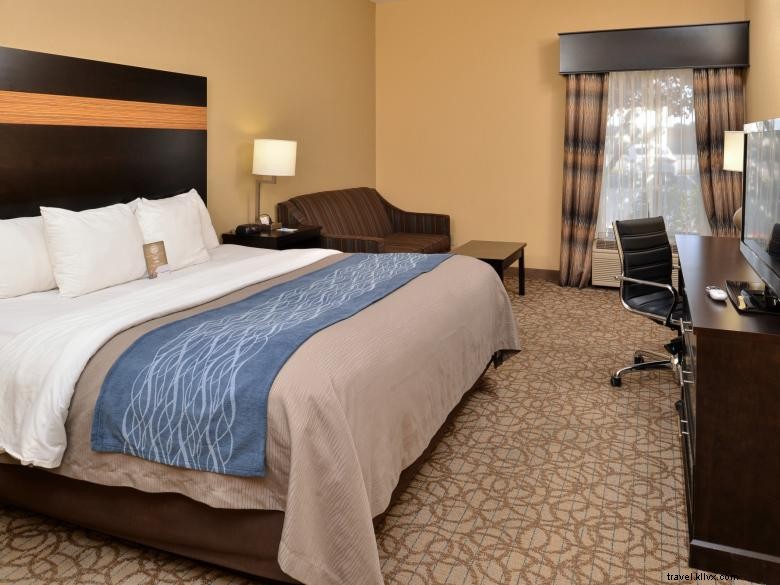 Comfort Inn & Suites à Stone Mountain