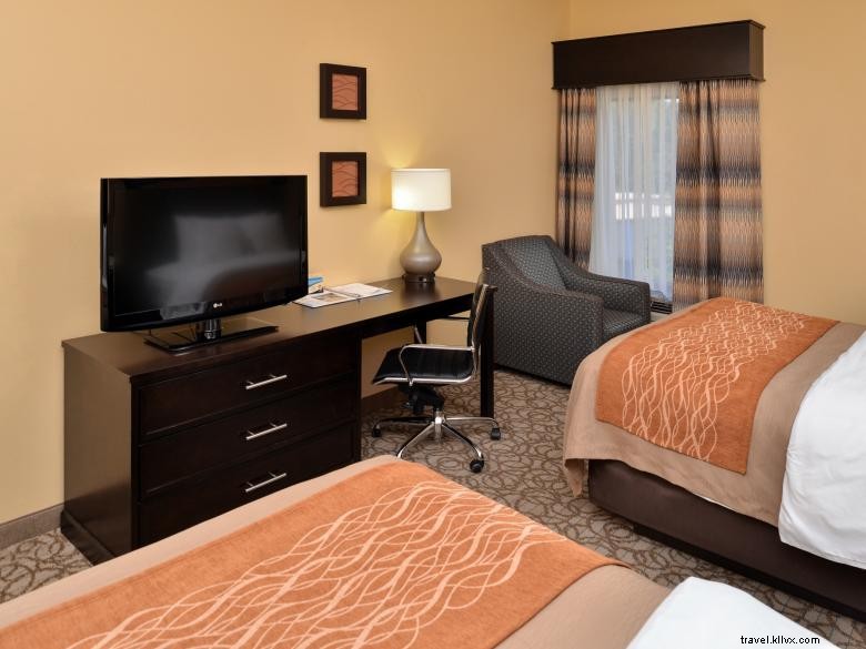 Comfort Inn & Suites à Stone Mountain