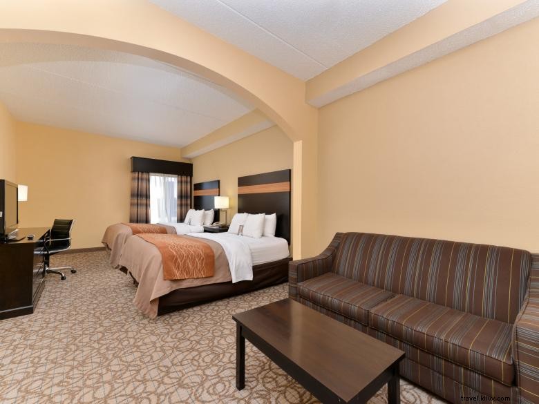 Comfort Inn & Suites à Stone Mountain