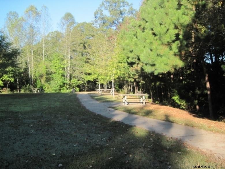 Camping Toto Creek - COE