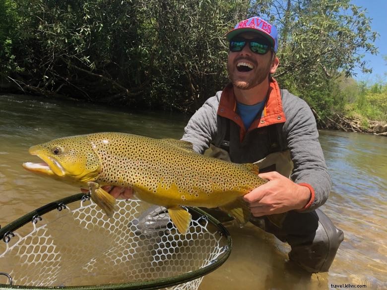 Ferme Noontootla Creek – Pêche à la mouche, chasse aux cailles, tir sportif et hébergement