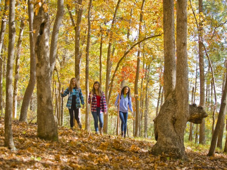 Parc d État Red Top Mountain – Loisirs au bord du lac Allatoona