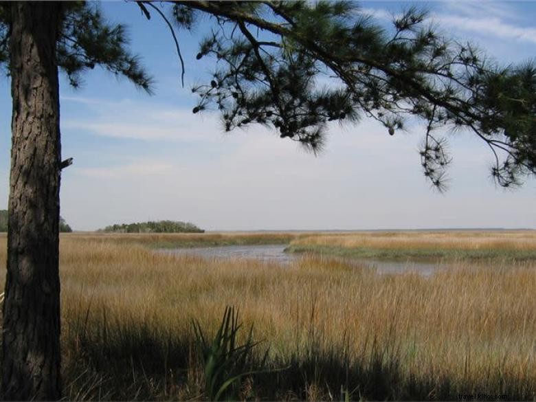 Parc d État de Fort McAllister, Géorgie