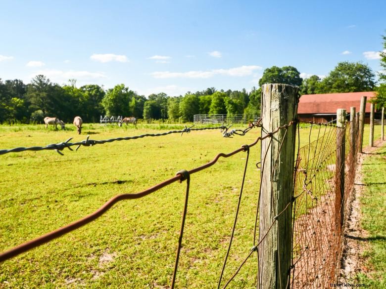 Ferme de Dublin