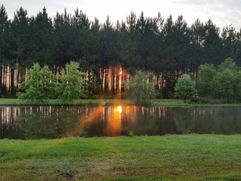 Vivre en VR à Sunset Pines