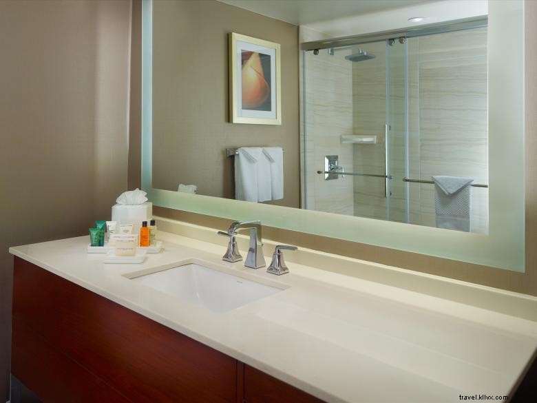 Hilton Atlanta Nord-Est